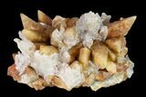 Gypsum on Dogtooth Calcite Crystal Cluster - China #146693-1